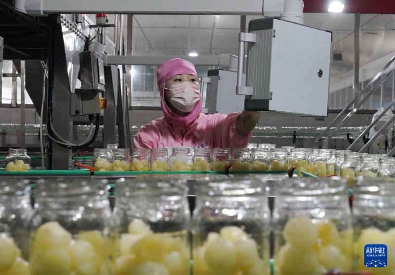 农产品深加工:产业链条上的璀璨明珠
