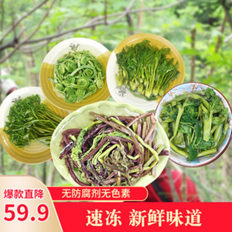 把握未来趋势:大豆加工行业的蓬勃发展